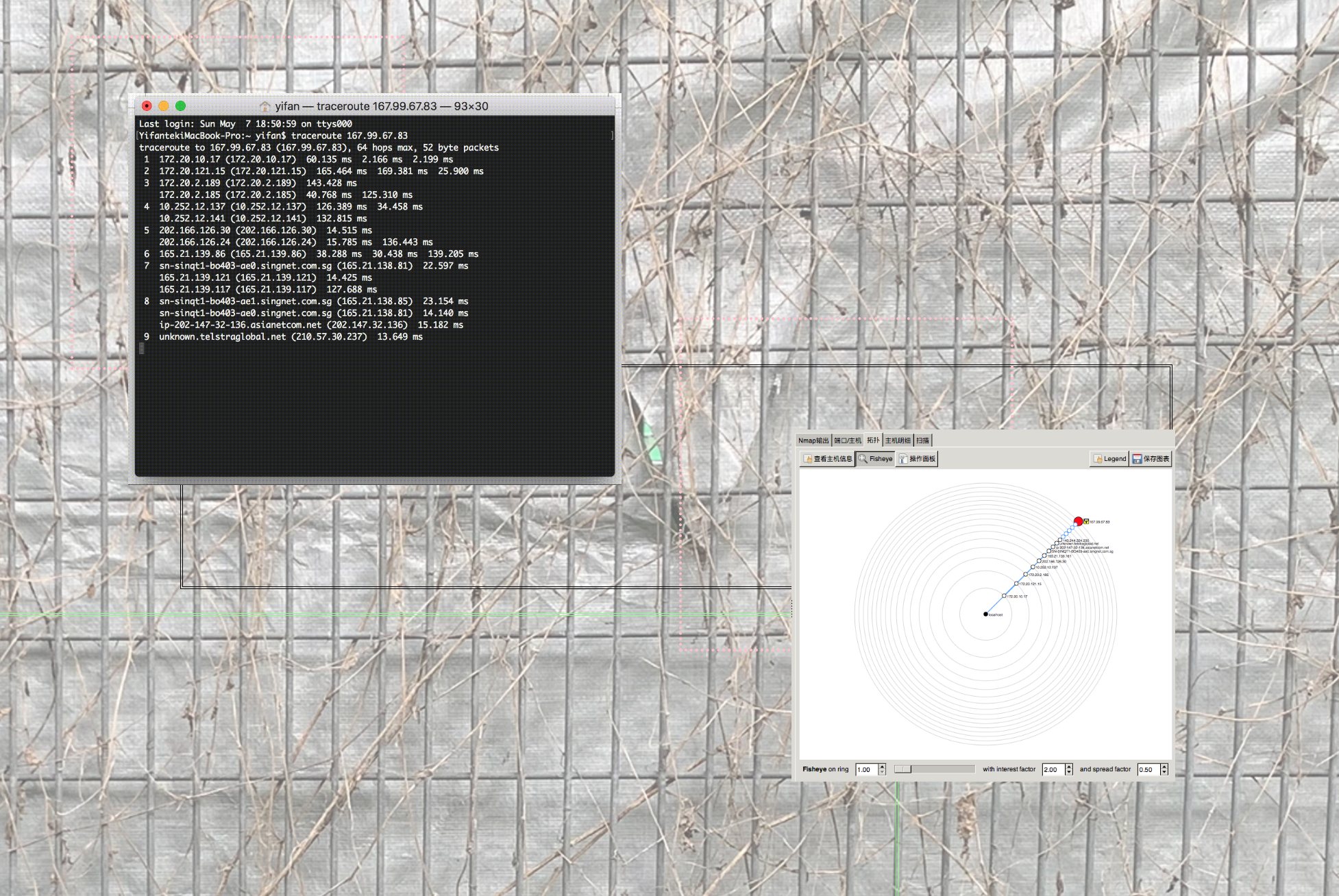 trace route and nmap